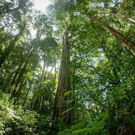 Talamanca Nature Reserve Rivas 外观 照片
