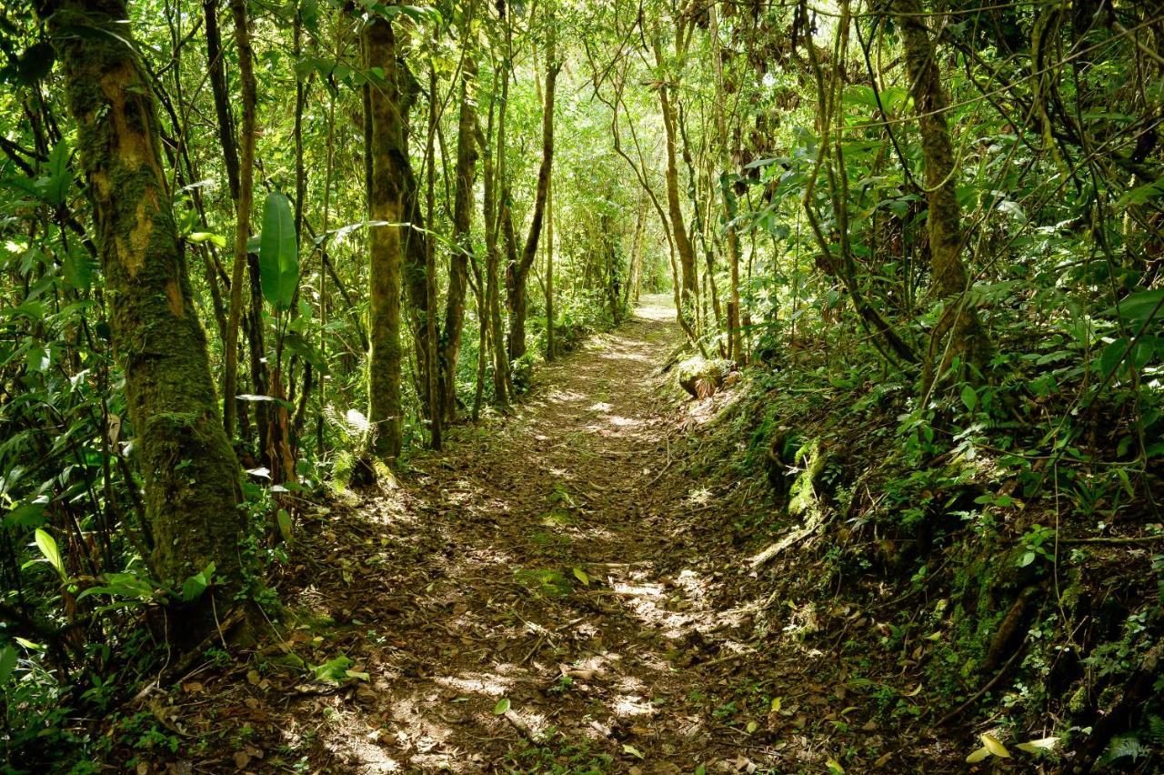 Talamanca Nature Reserve Rivas 外观 照片