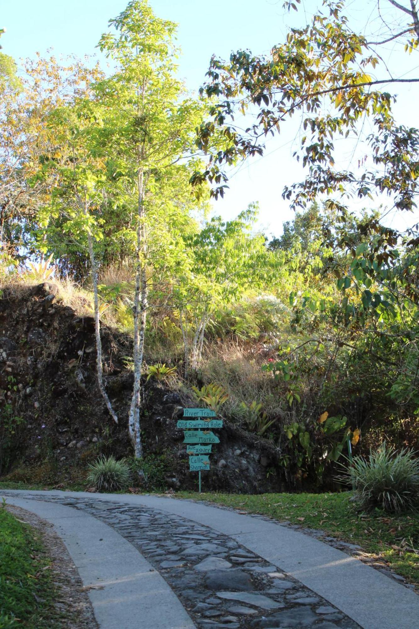 Talamanca Nature Reserve Rivas 外观 照片