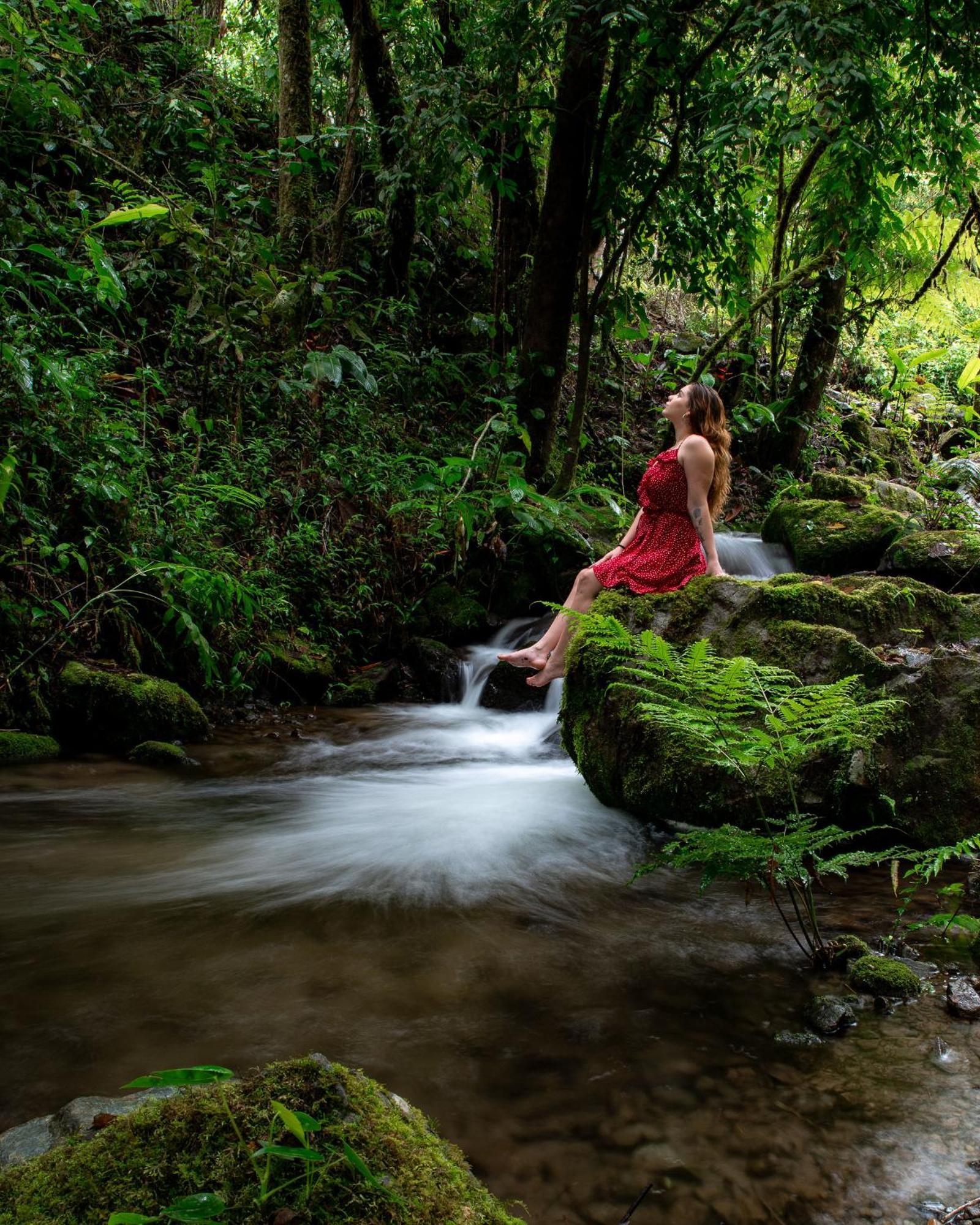 Talamanca Nature Reserve Rivas 外观 照片