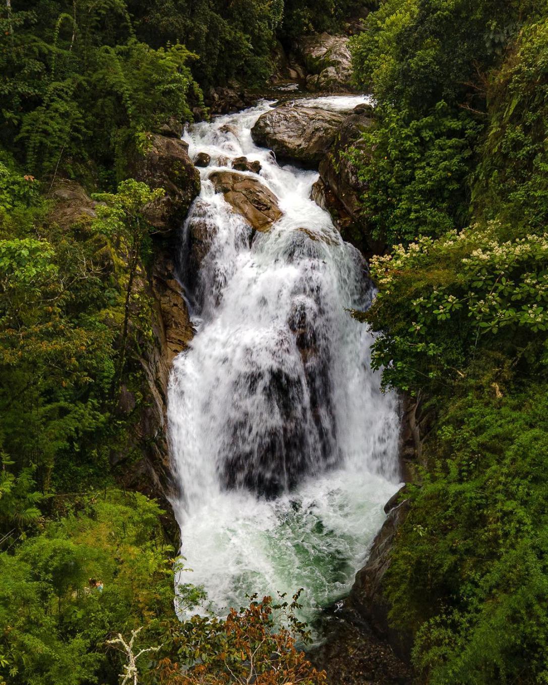 Talamanca Nature Reserve Rivas 外观 照片