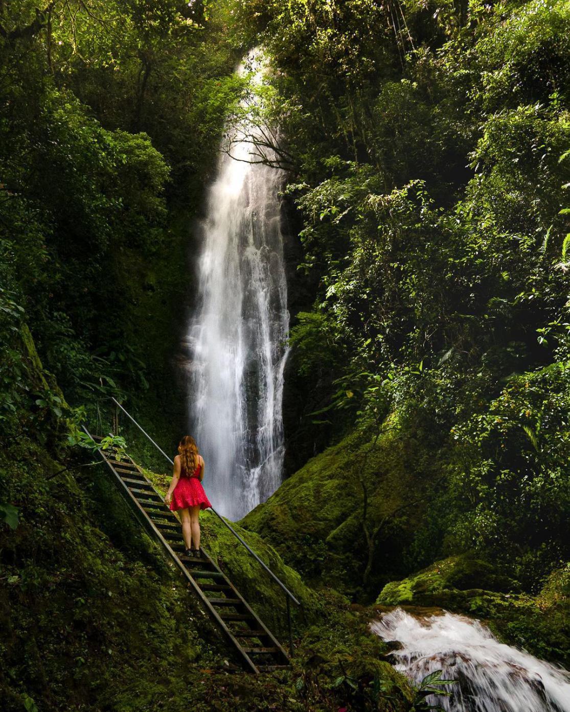Talamanca Nature Reserve Rivas 外观 照片