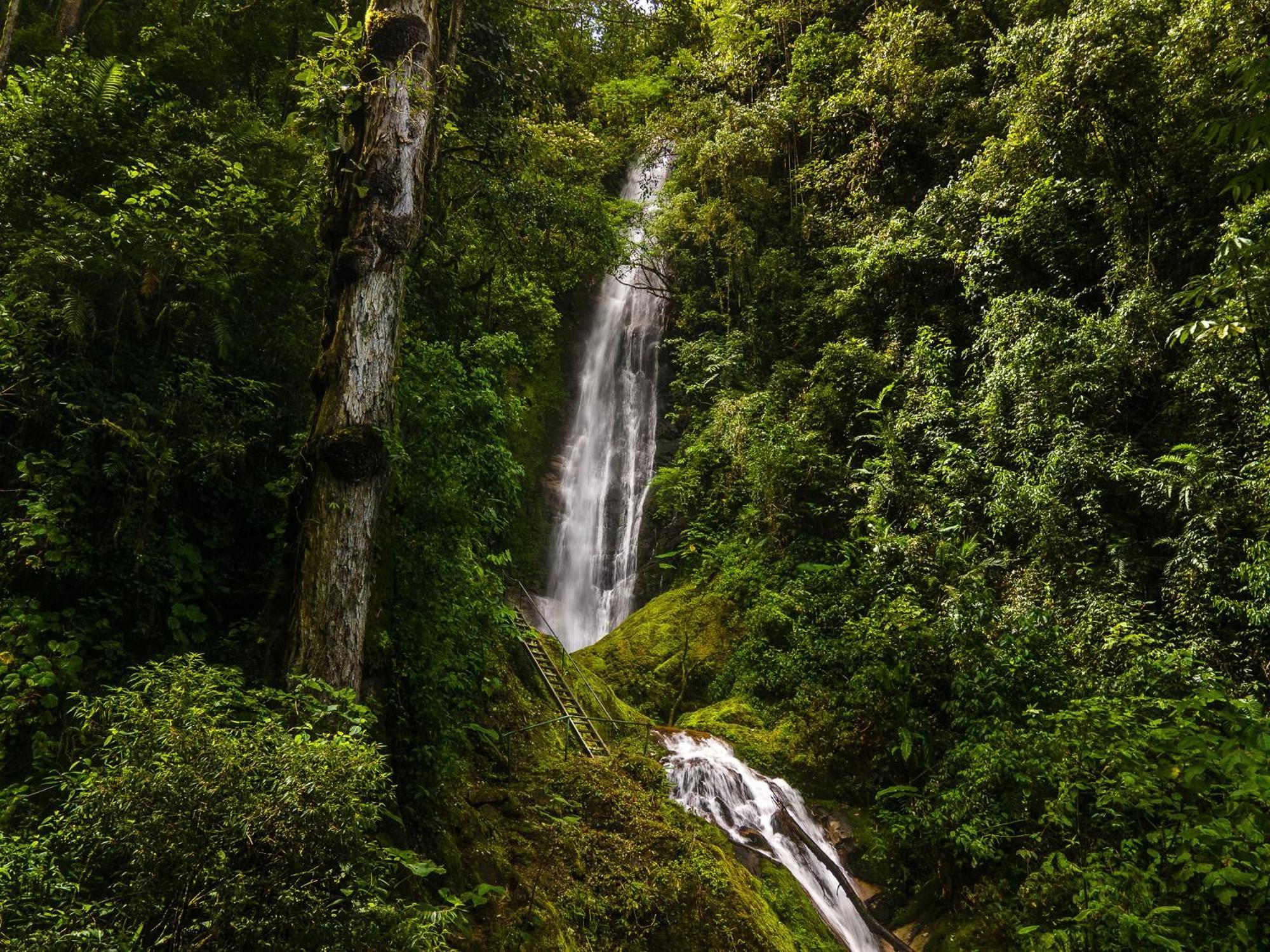 Talamanca Nature Reserve Rivas 外观 照片