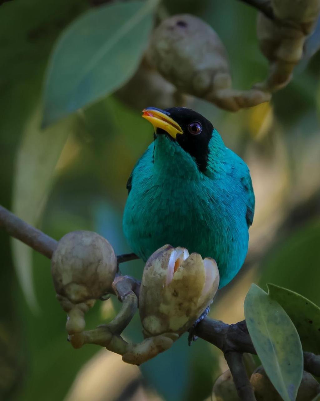 Talamanca Nature Reserve Rivas 外观 照片