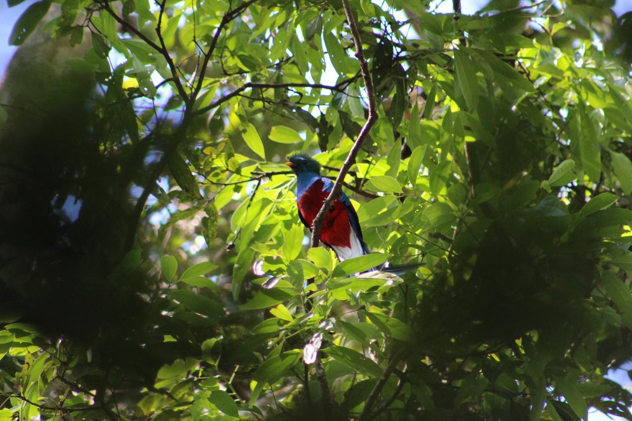 Talamanca Nature Reserve Rivas 外观 照片