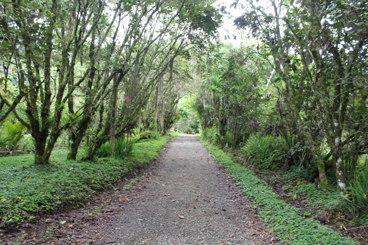 Talamanca Nature Reserve Rivas 外观 照片